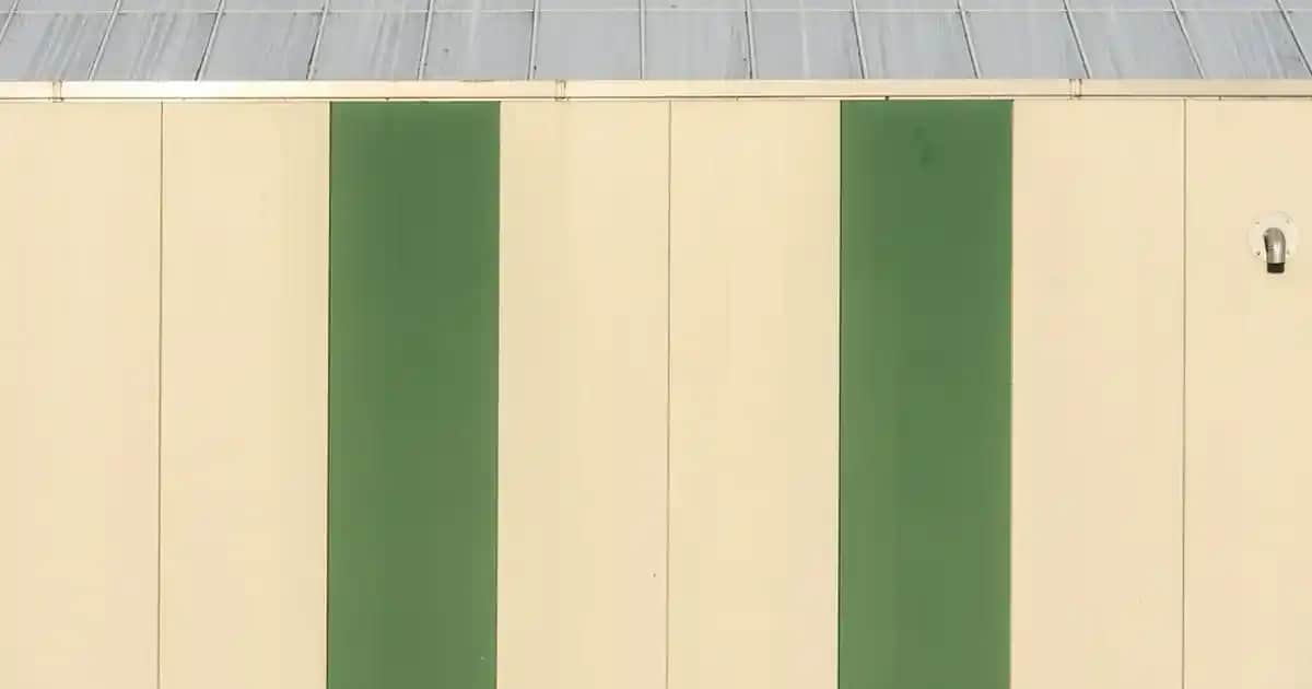 Solgar Dil Altı B12 Vitamini ile Enerji ve Sağlık Desteği Sağlayan Takviye Ürünü