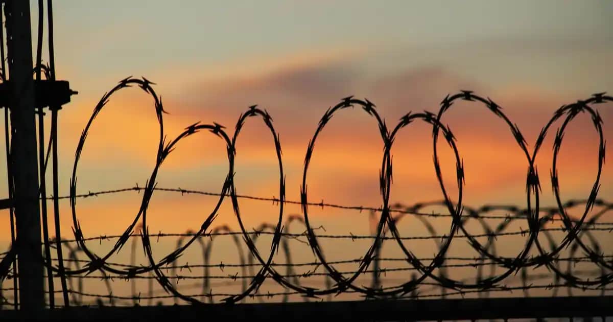 Solgar Glukozamin Sülfat ile Eklem Sağlığını Güçlendirme ve Hareket Kabiliyetini Artırma