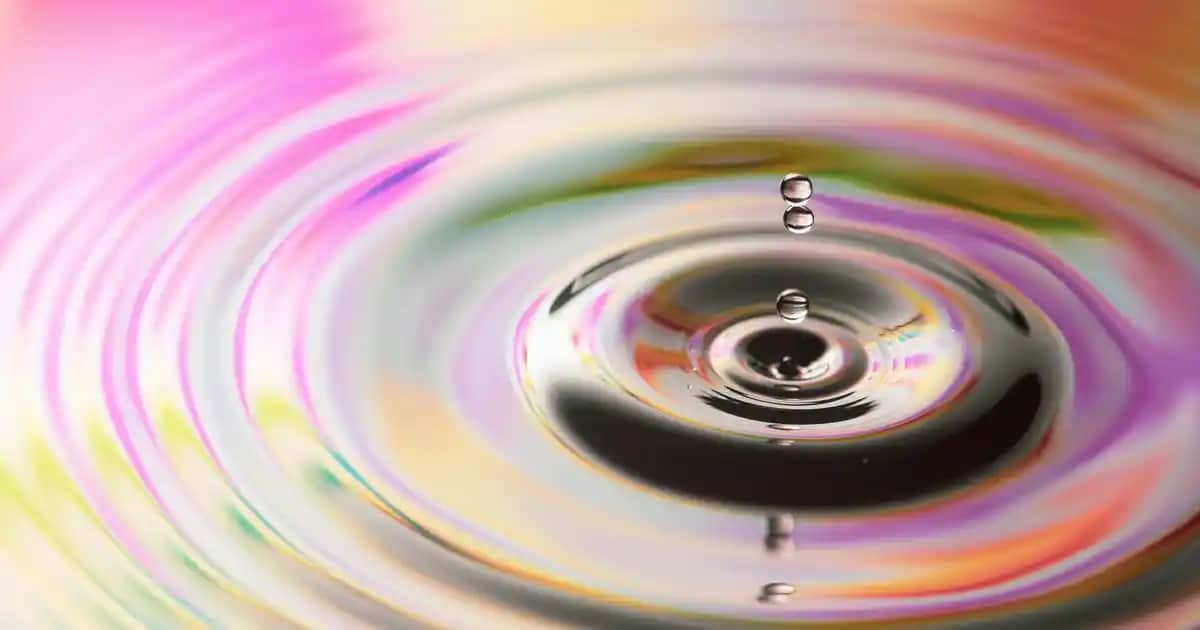 Solgar L-Carnitine: Sağlık ve Kozmetikte Enerji ve Yağ Yakımını Destekleyen Güvenilir Takviye