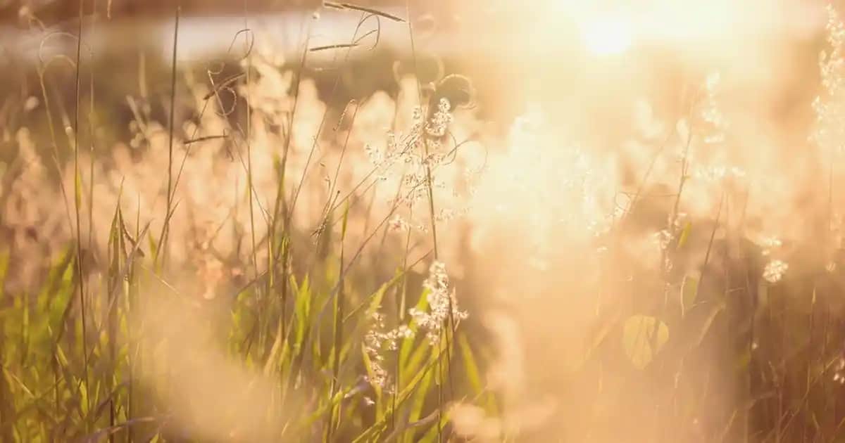 Solgar Magnezyum Çeşitleri ve Kozmetik Dünyasındaki Önemi Hakkında Kapsamlı Bilgi