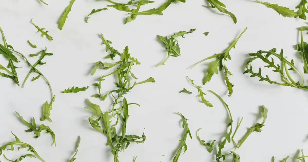 Solgar Nero Nutrients 30 Kapsül Güzellik ve Sağlık Takviyesi Ürün İncelemesi