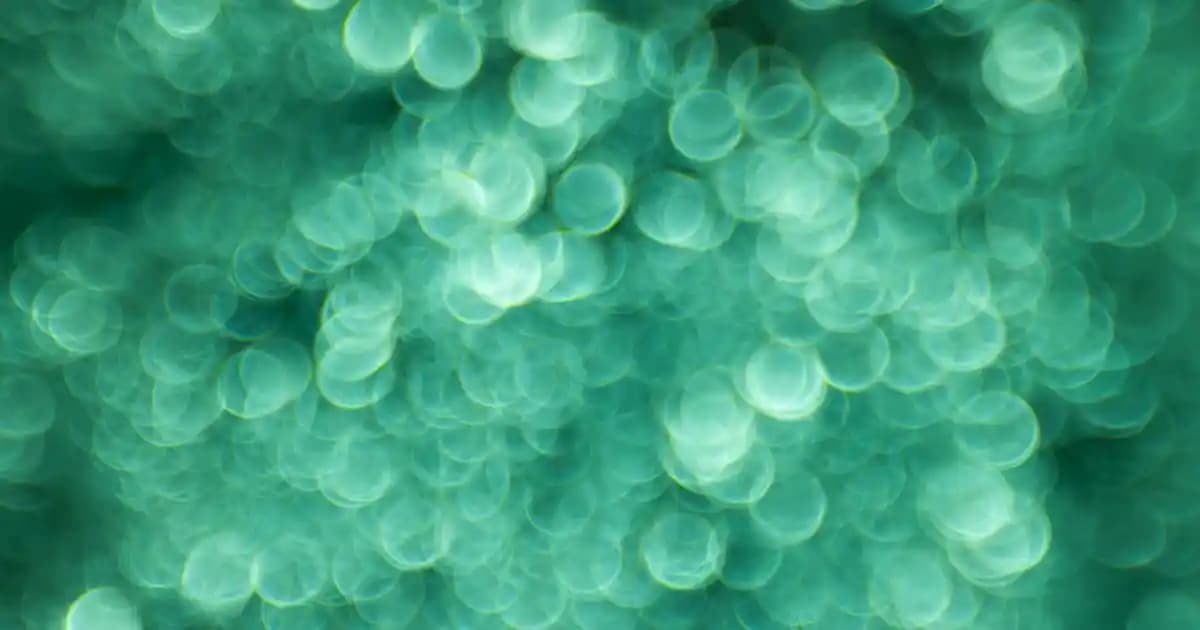 Solgar Omega-3 950 mg: Kalp Sağlığı ve Güzellik İçin Güvenilir Balık Yağı Takviyesi