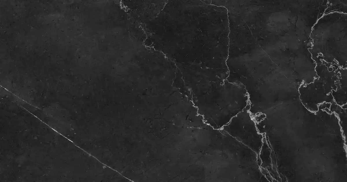 Solgar Probiyotik ile Bağışıklık ve Cilt Sağlığını Güçlendiren Doğal Çözümler