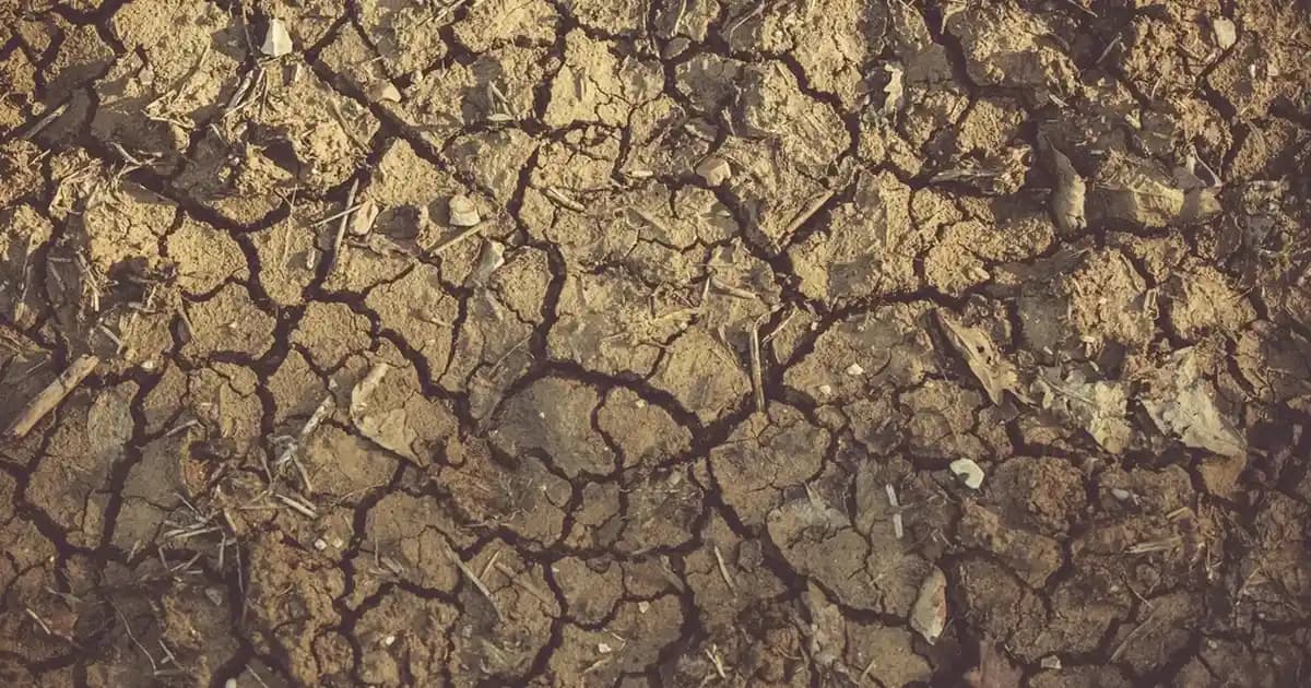 Solgar Üzüm Çekirdeği Ekstraktı: Doğal Antioksidan ve Cilt Sağlığı Destekleyici Ürün