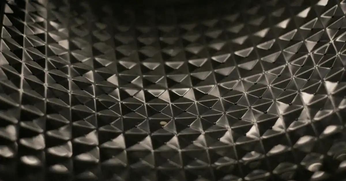 Solgar Yaban Mersini ve C Vitamini Takviyesi: Doğal Güzellik ve Sağlık Destekçisi