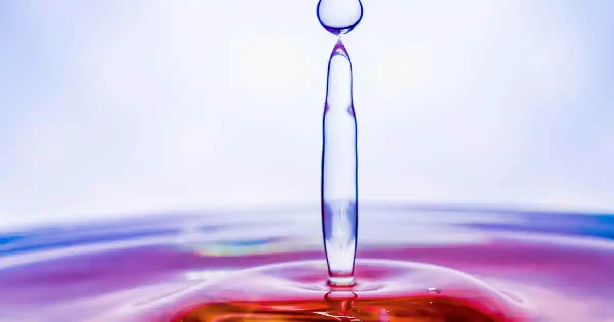 Sorvagen Omega 3 Plus: Yüksek Kaliteli Balık Yağı Takviyesi ile Sağlığınızı Destekleyin