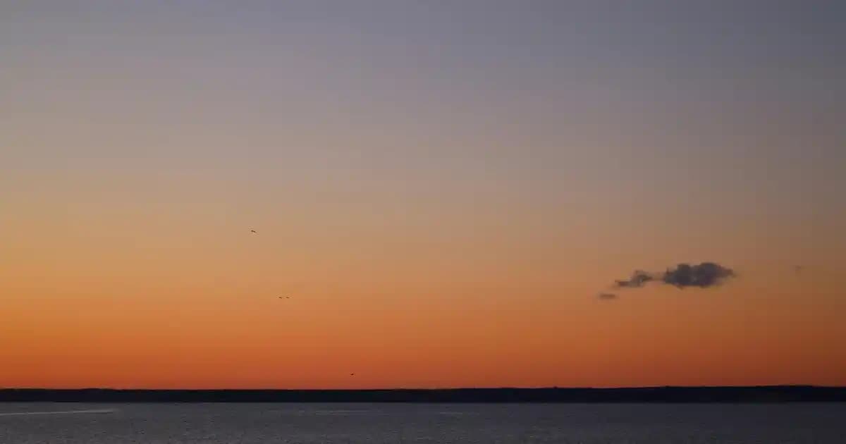 Sudocrem: Bebekler ve yetişkinler için çok yönlü cilt bakım kremi