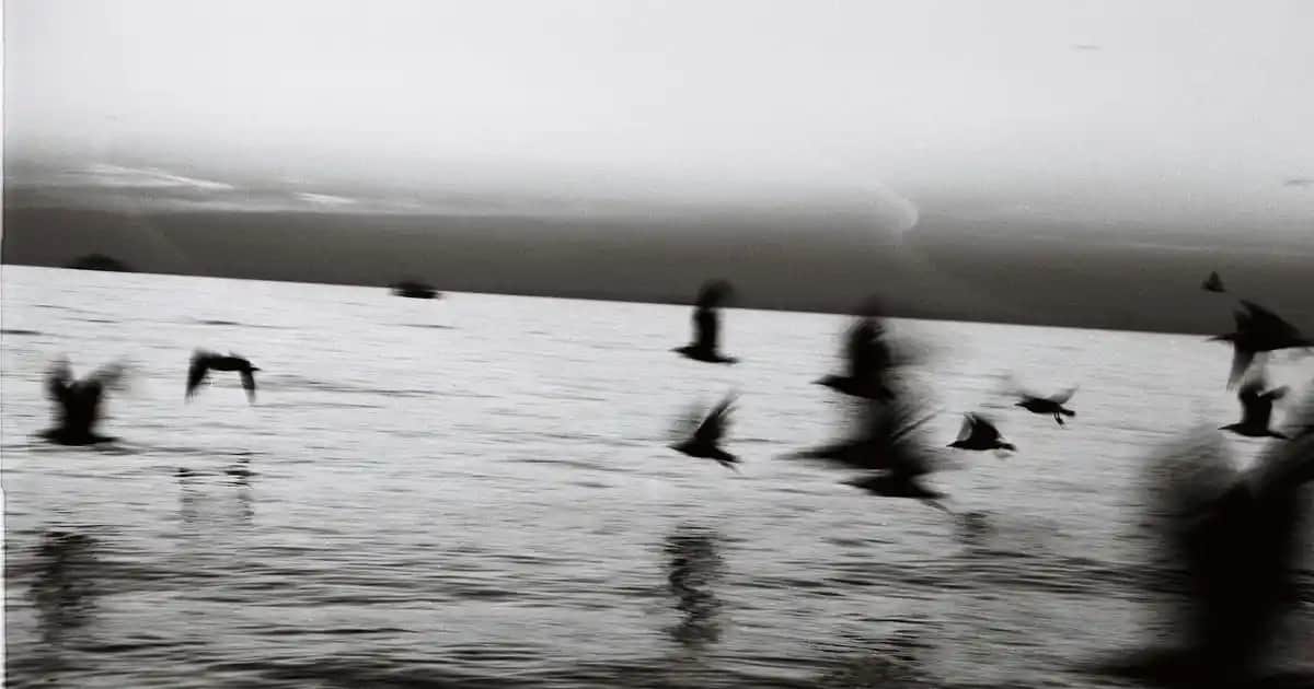 Takma Kirpiklerin Gözde Kalma Süresi ve Bakım İpuçları Hakkında Uzman Rehberi