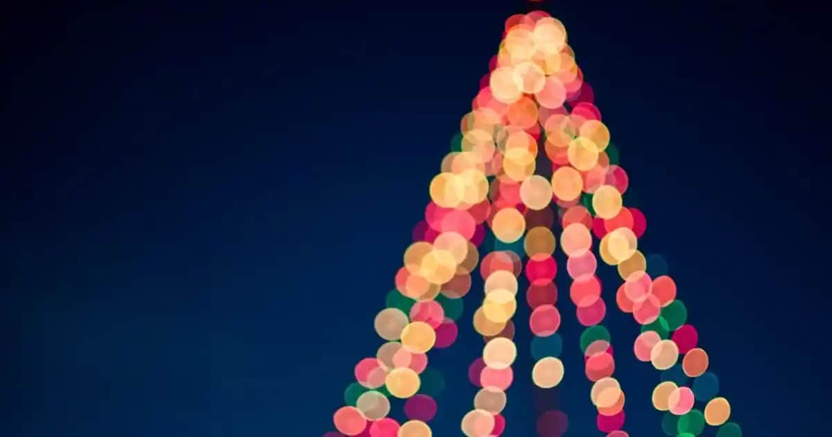 Tip 5 Kollajen ve Cilt Sağlığında Rolü: Güzellik ve Sağlık İçin Önemli Bir Protein