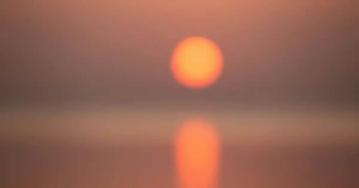 Trukid Krem: Eczema ve Hassas Ciltler İçin Doğal ve Güvenilir Çözüm