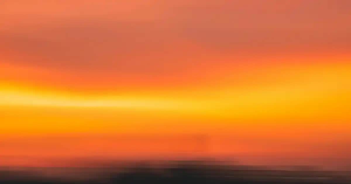 Türkiye'de En Kaliteli Prezervatif Markaları ve Güvenli Kullanım İpuçları