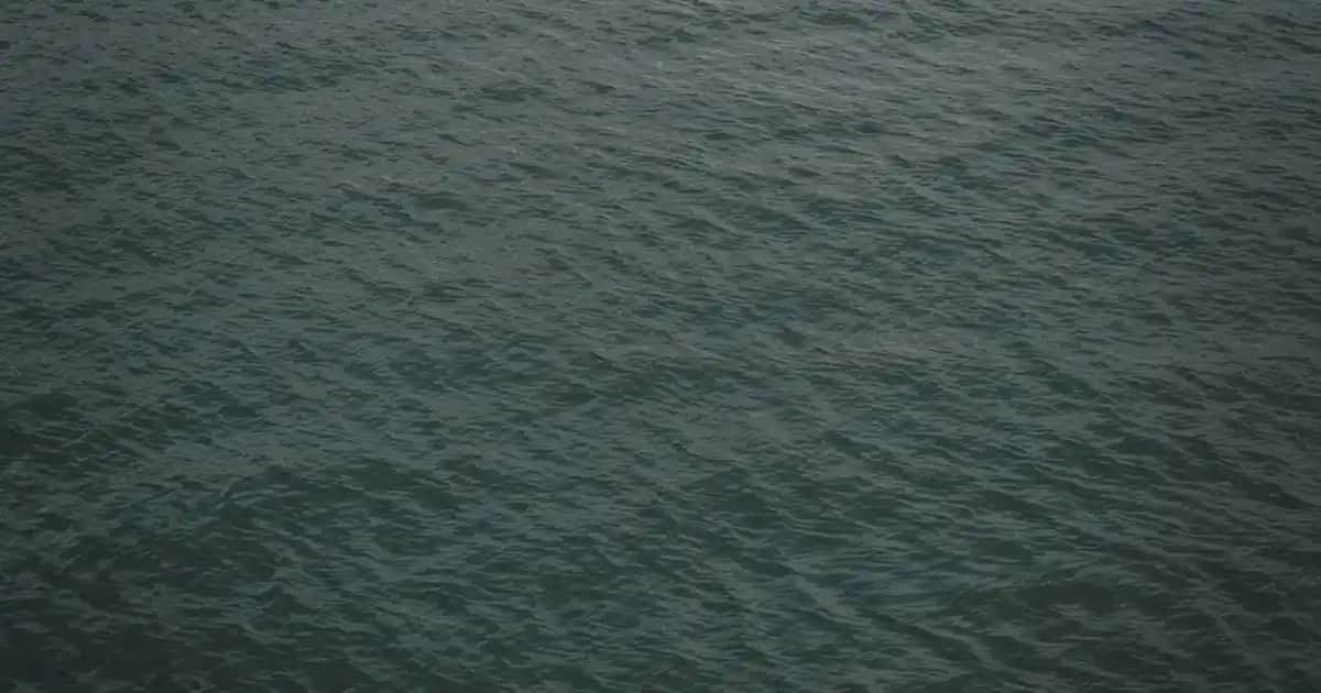 Türkiye'de Organik Kozmetik Sektörünün Güncel Durumu ve Güvenilir Markalar