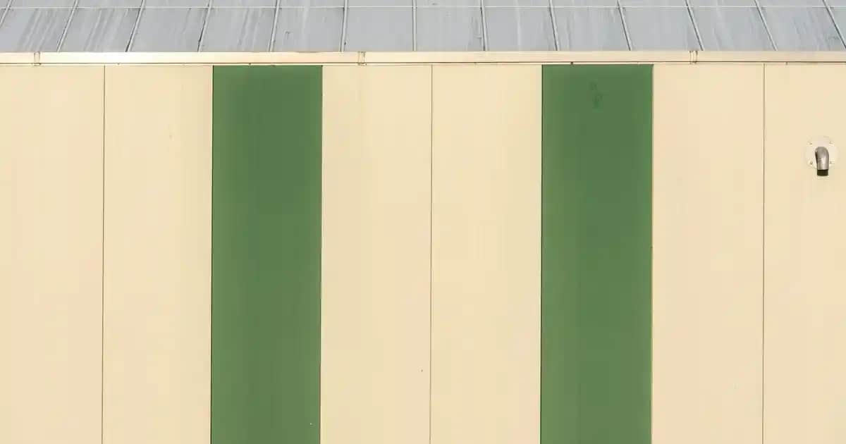 Tüy Dökücü Sünger: Pratik ve Cilt Dostu Epilasyon Çözümü