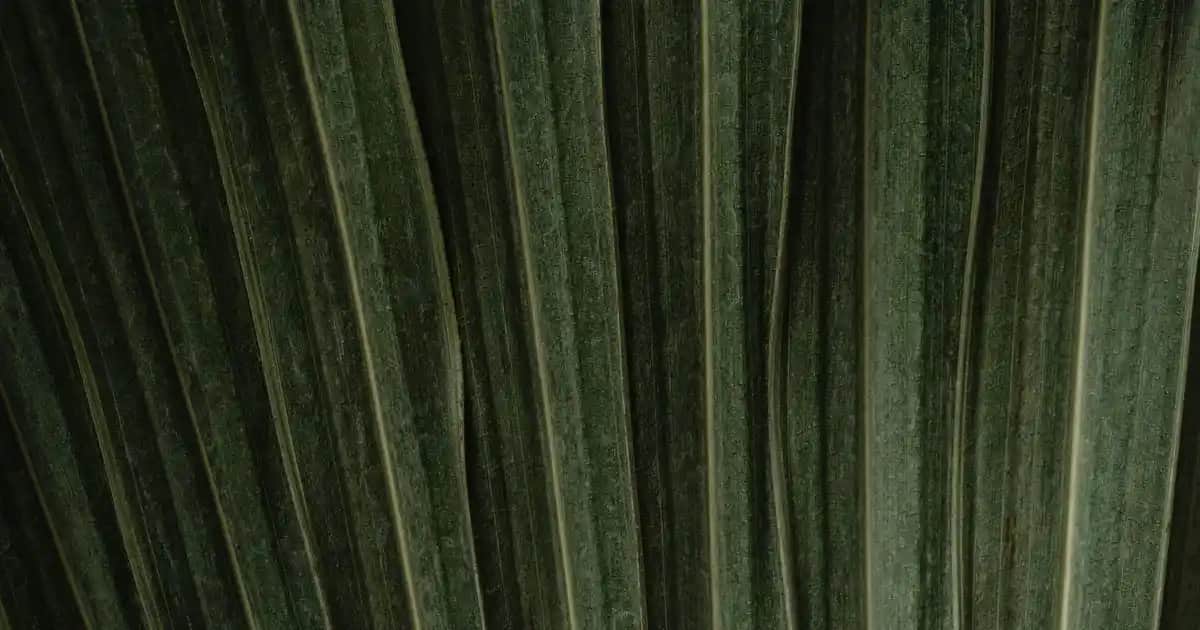 Urban Care Argan Yağı ve Keratin ile Saç Bakımında Güçlü ve Parlak Saçlar İçin En İyi Çözümler