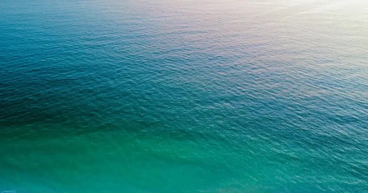 Urban Care Peeling Şampuan ile Derinlemesine Saç ve Saç Derisi Temizliği