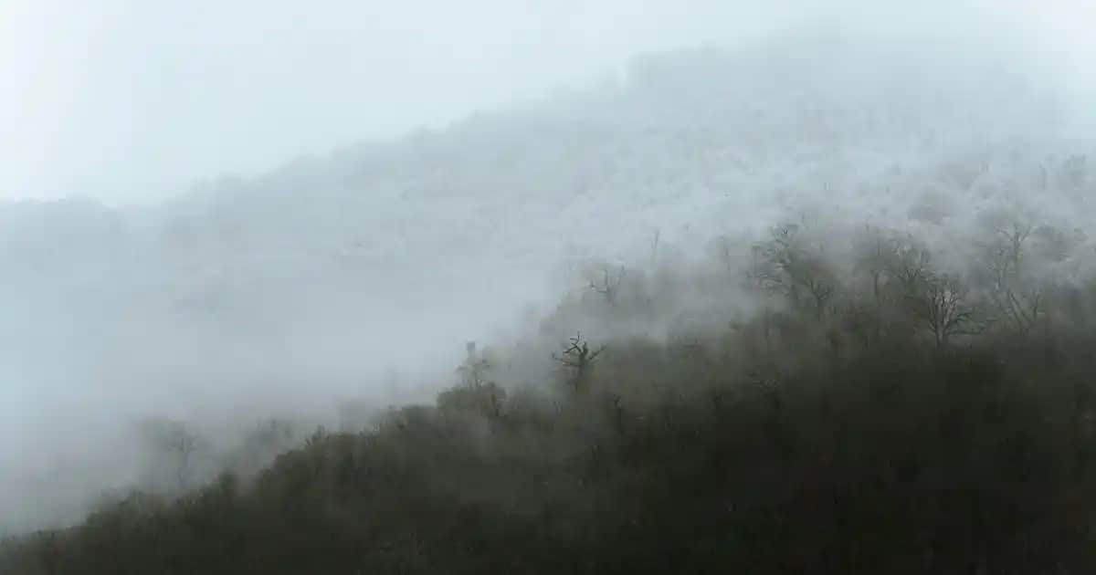 Urban Kepek Şampuanlarıyla Saç Derisini Koruyan ve Kepeği Önleyen Çözüm