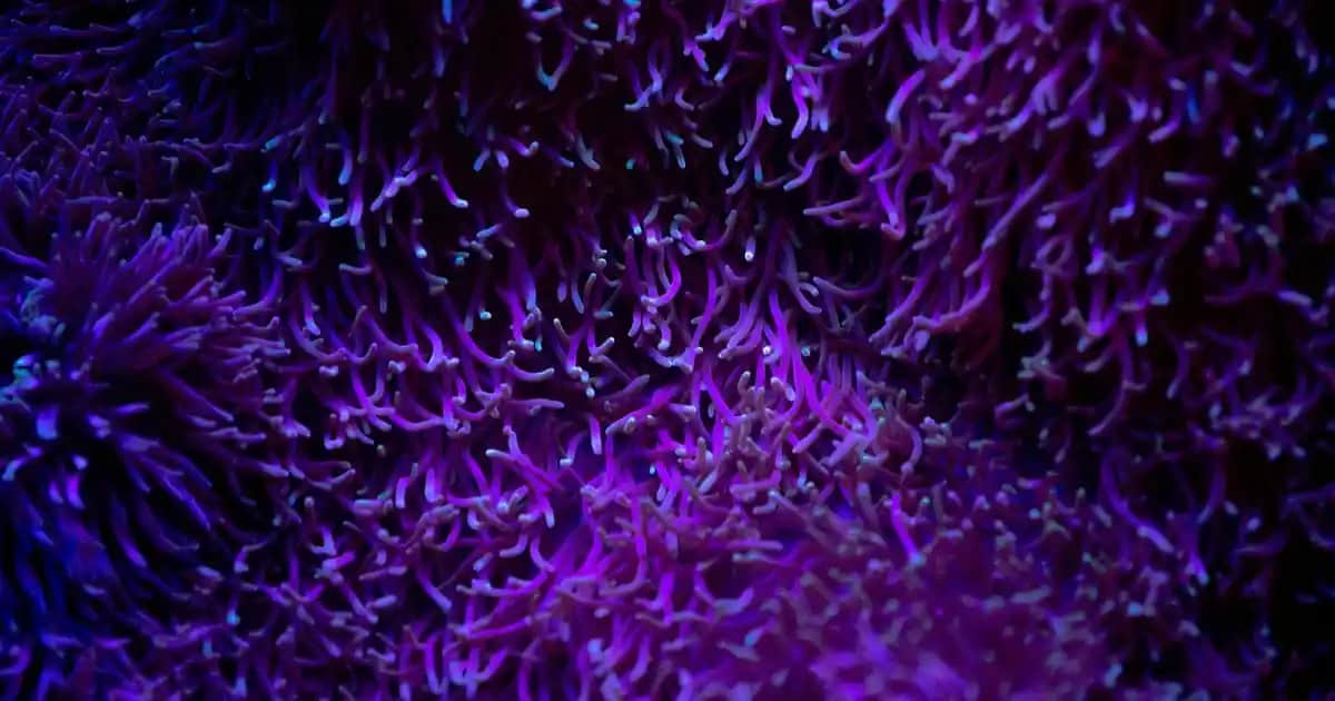 UV Koruma Nedir Göz ve Cilt Sağlığı İçin Neden Önemlidir