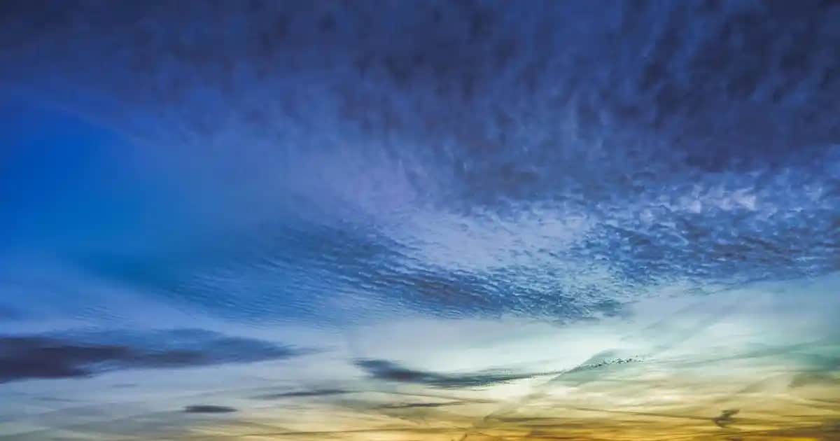 Uzman Yüz Fırçası Kullanımıyla Mükemmel ve Doğal Makyaj Sonuçları Elde Edin