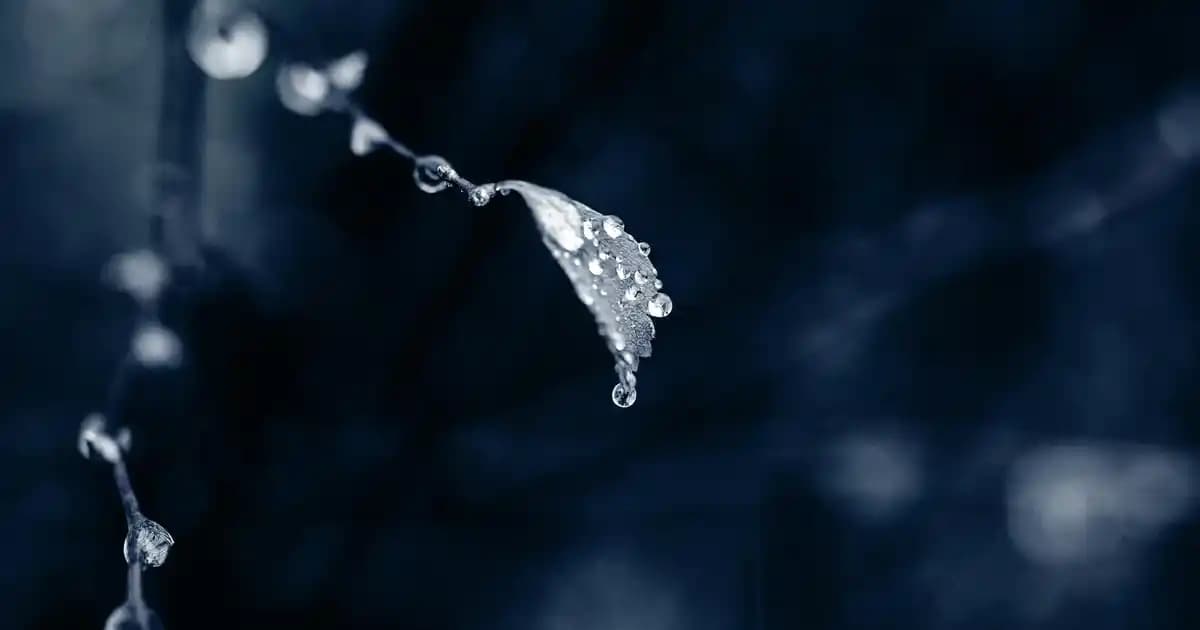 Vazelin Krem: Cilt Sağlığını Destekleyen Çok Yönlü Bakım Ürünü