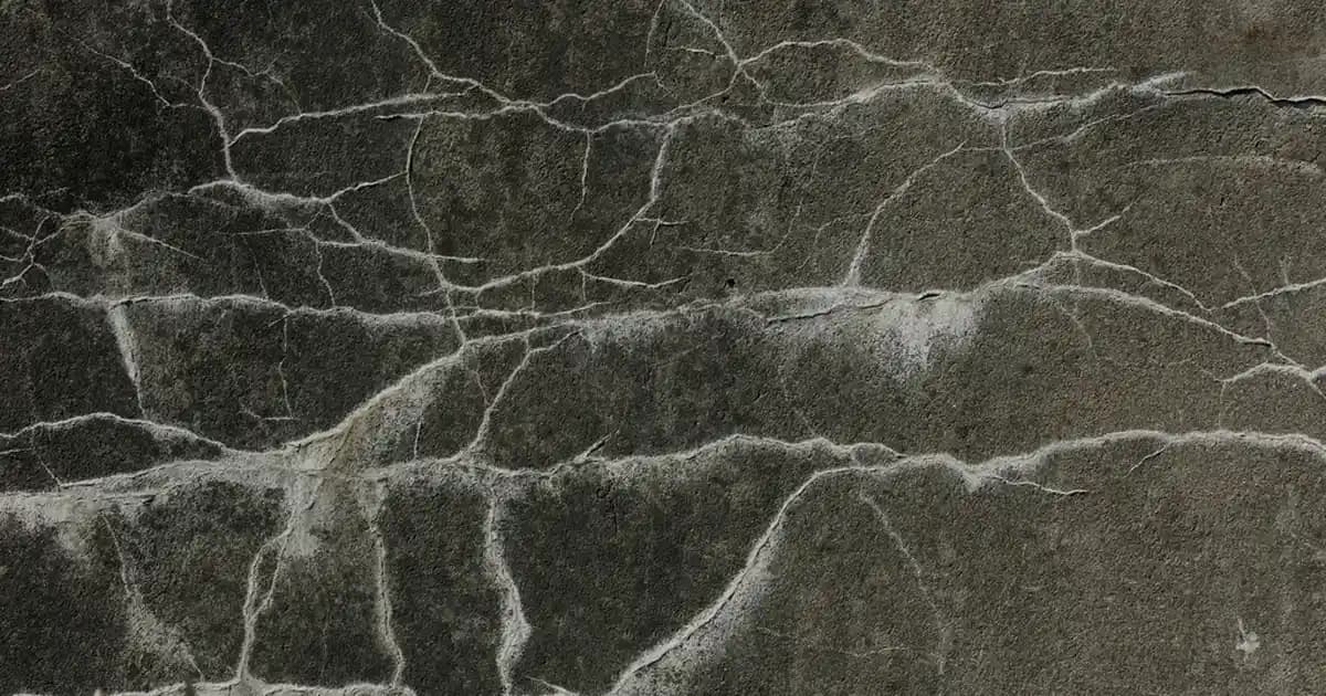 Vichy Dercos Saç Bakım Ürünleri ve Fiyatları Hakkında Kapsamlı Rehber