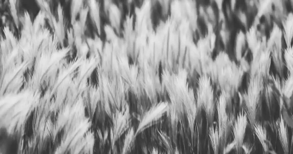 Vichy Leike Serumu ile Koyu Lekeleri Azaltın ve Cilt Tonunuzu Eşitleyin