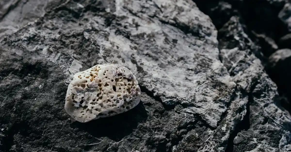 Wartner ile Tırnak Mantarı Tedavisinde Güvenilir ve Etkili Çözüm Yöntemleri