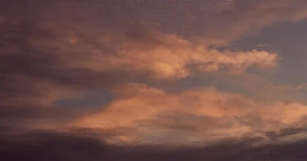 Yağlı ve Kepekli Saçlar İçin En İyi Şampuan Seçimi ve Bakım Tavsiyeleri