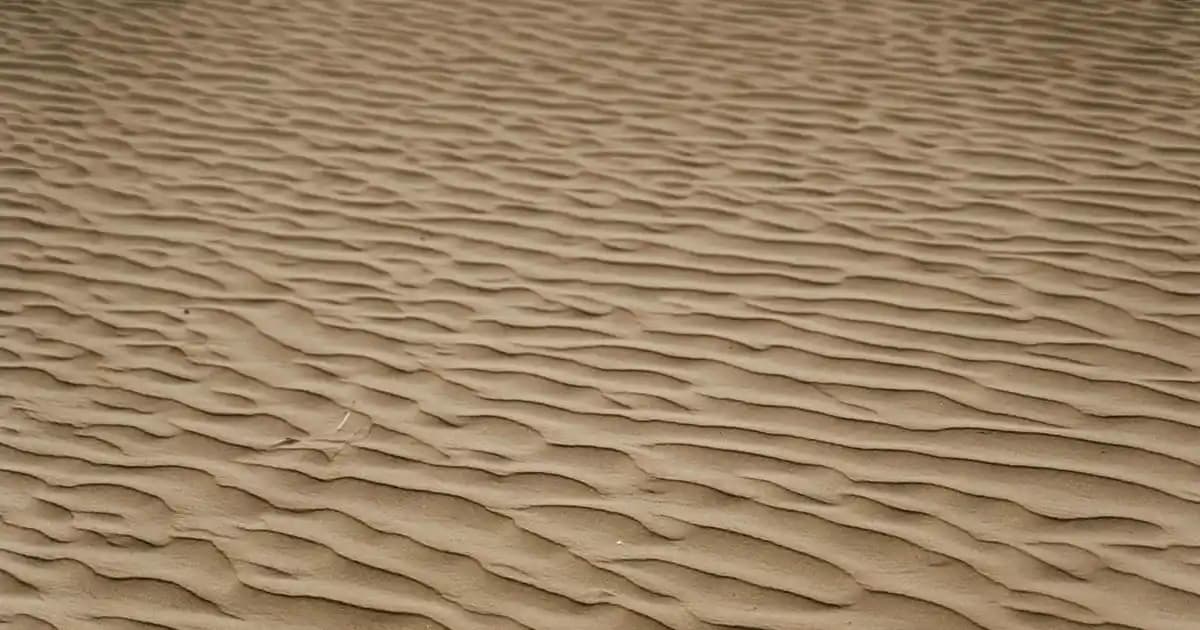 Yara Ban Kozmetik Markası: Doğal İçeriklerle Güçlü ve İlham Verici Güzellik Çözümleri