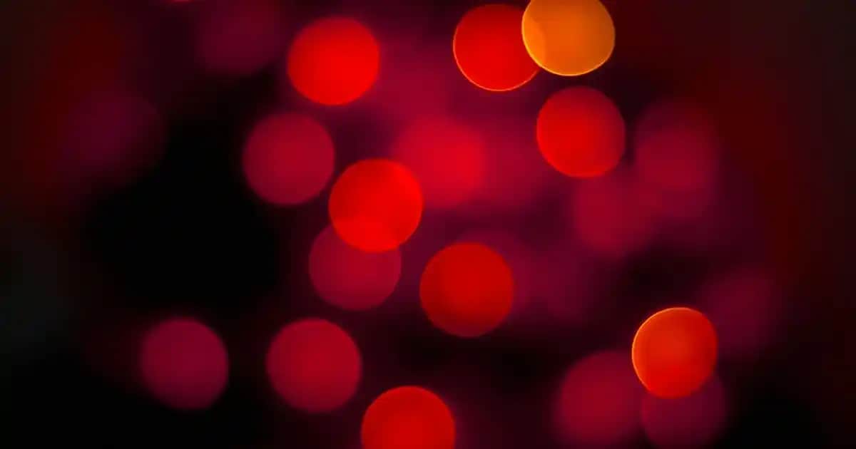 Yer Yüzey Temizleyiciler: Hijyen ve Parlaklık Sağlayan Etkili Çözümler