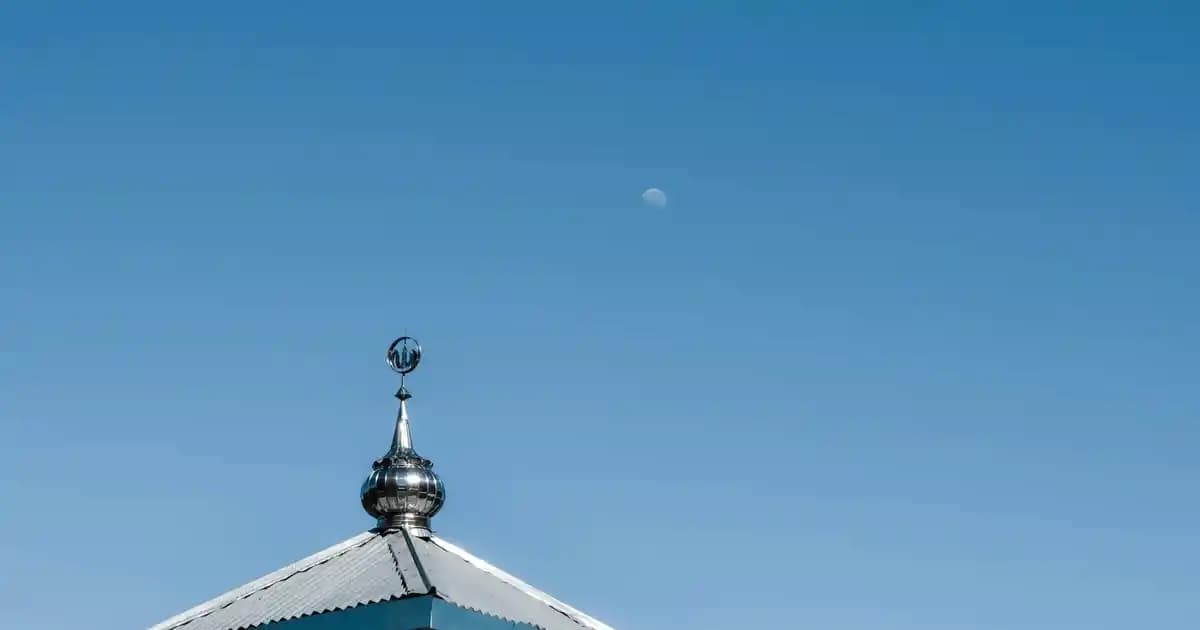 Yetişkinler İçin Balık Yağı Haplarının Faydaları ve Doğru Kullanım İpuçları