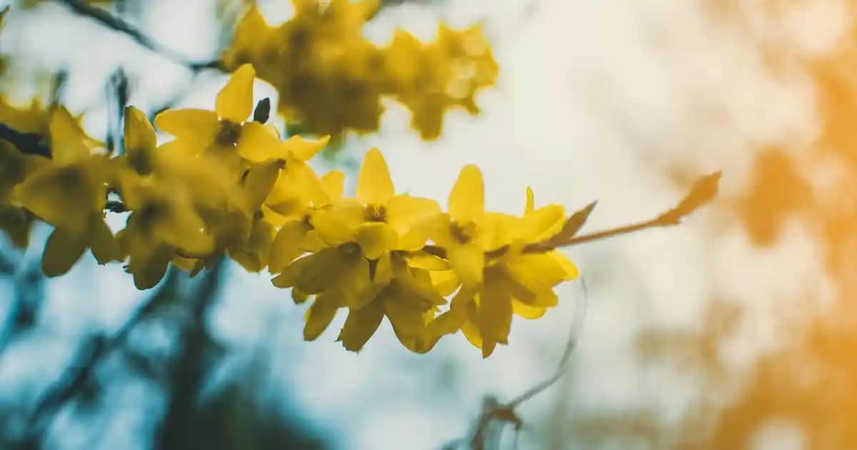 Youplus Vitamin ve Multivitamin Ürünleri ile Sağlık ve Güzellikte Bütünsel Destek