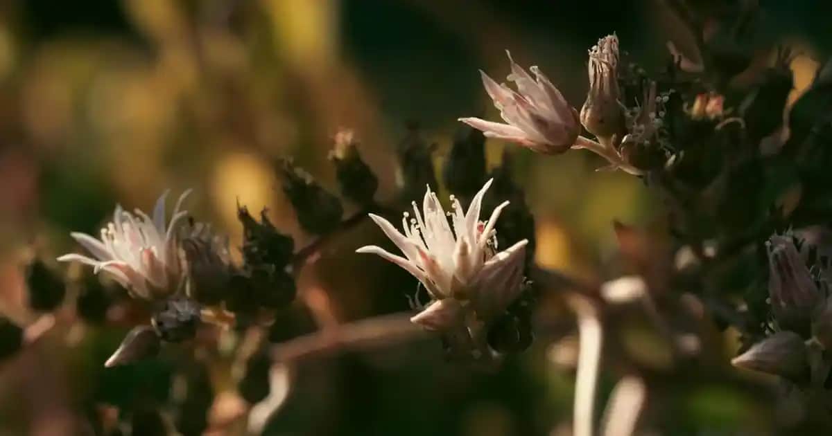 Yumoş Sprey Parfüm ile Günlük Hayatta Ferahlık ve Tazelik Sağlama Rehberi