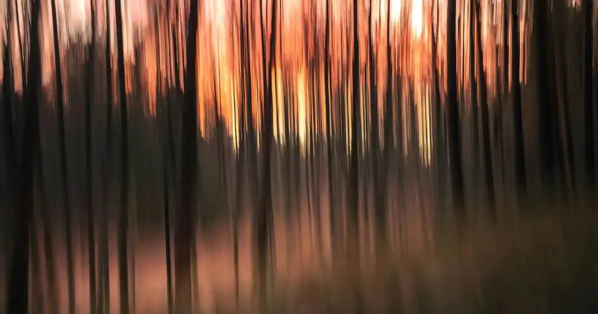 Yüz İçin Kolajen Ürünleri: Cilt Sağlığını Destekleyen En İyi Seçenekler ve Kullanım İpuçları