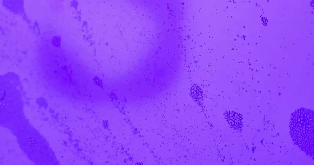 Yüz Masaj Yağı Kullanımıyla Cilt Sağlığını ve Güzelliğini Artırma Rehberi