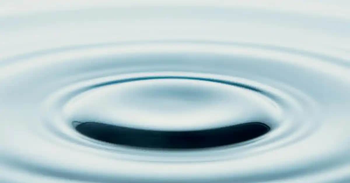 Zade Vital Vitamin ve Kozmetik Ürünleri ile Güzellik ve Sağlıkta Yenilikçi Yaklaşımlar