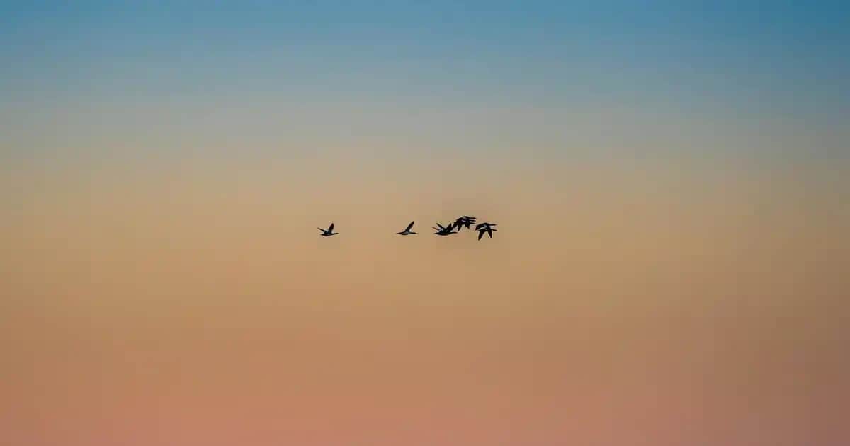 Zaman ve Mevsim Değişikliklerinin Kozmetik ve Güzellik Üzerindeki Etkileri