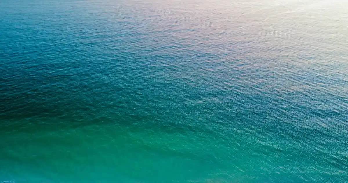 Ziaja Manuka Peeling ile Doğal ve Etkili Cilt Bakımı Rehberi