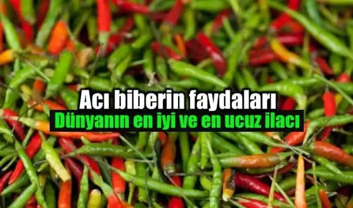 Acı Biber Kremi Faydaları: Cilt Sağlığı, Selülit ve Kas Ağrılarında Doğal Destek