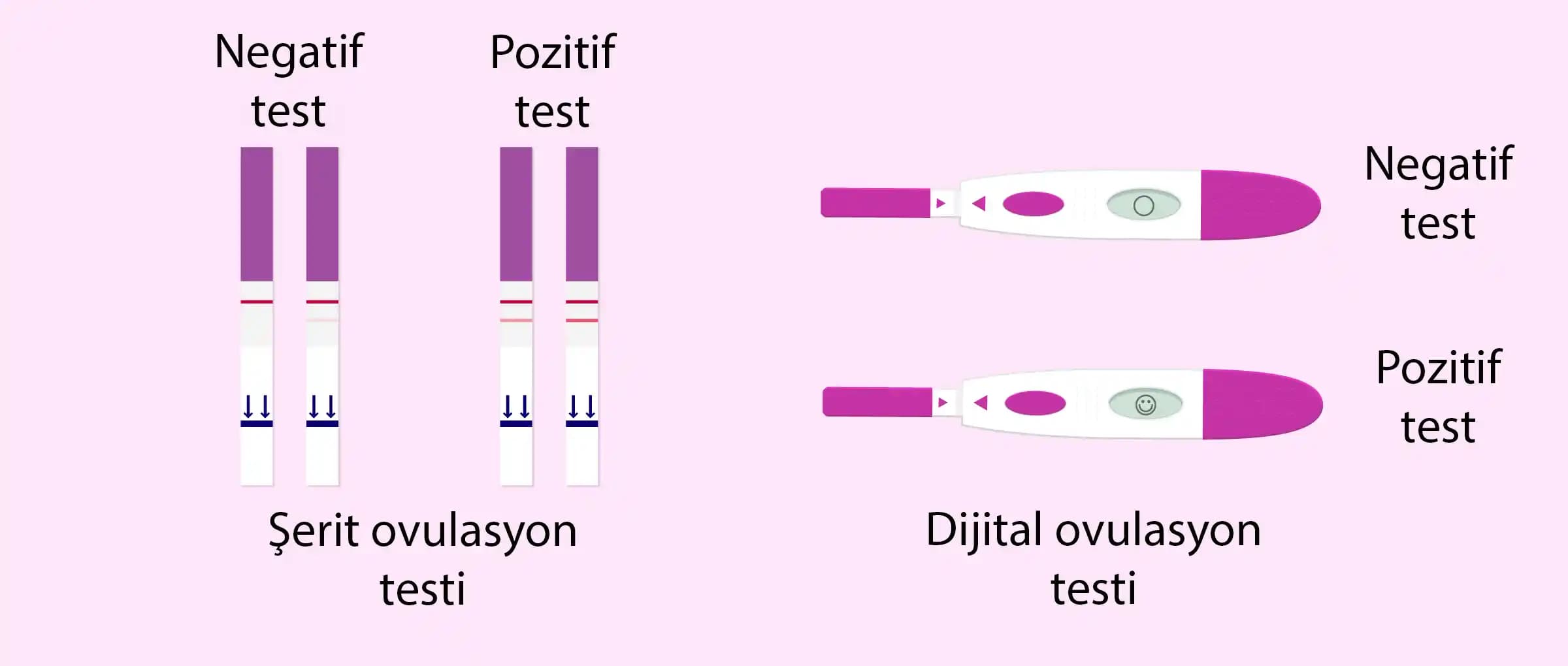 Adet Günü Ovulasyon Testi Pozitif Çıkması: Nedenleri ve Gebelik Planlamasındaki Önemi
