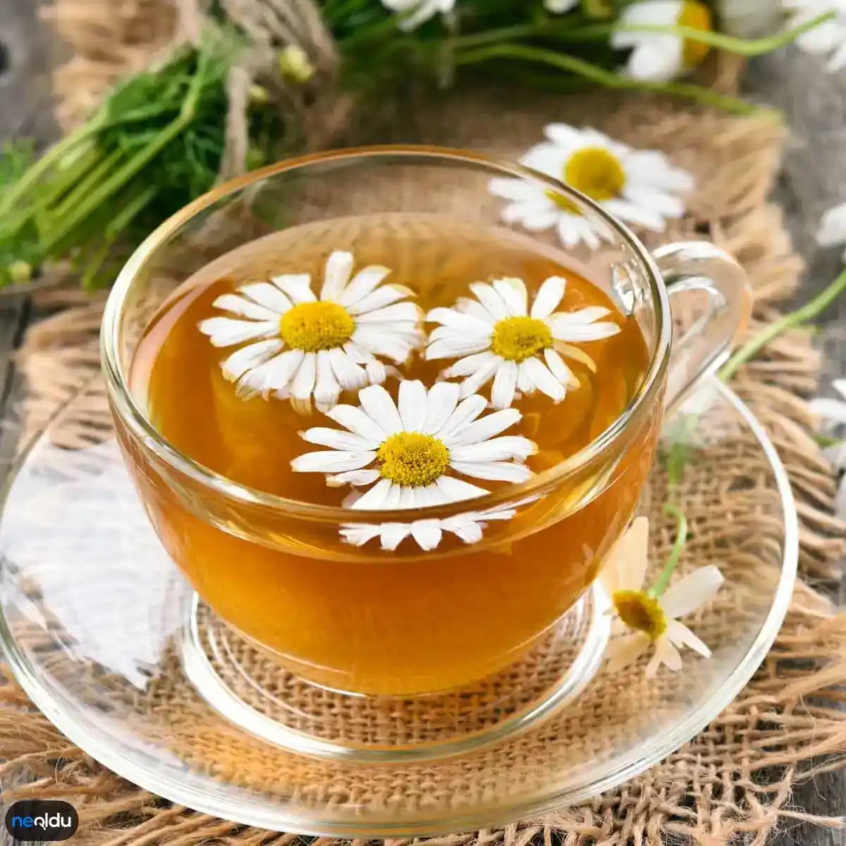 Adete İyi Gelen Çaylar: Regl Döneminde Rahatlama Sağlayan Doğal Bitkisel Çözümler