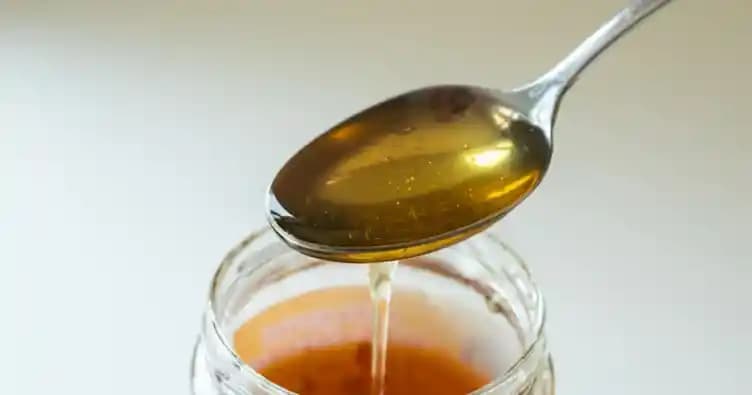 Agave'nin Güzellik ve Cilt Bakımındaki Faydaları: Doğal Nemlendirme ve Yenileme