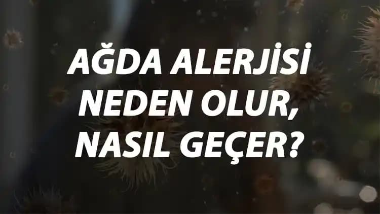 Ağda Alerjisi Kaç Günde Geçer? Belirtiler, Nedenler ve Tedavi Yöntemleri