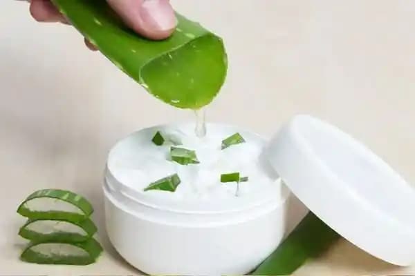 Aloe Krem: Doğal Nemlendirme ve Cilt Yenileme Özellikleriyle Etkili Bakım