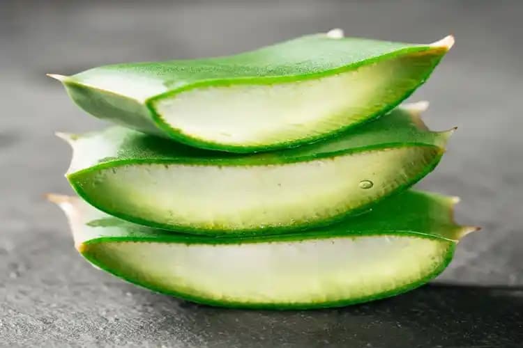 Aloe Vera'nın Yüzde Tüylenme Etkisi: Bilimsel Gerçekler ve Doğru Kullanım Önerileri