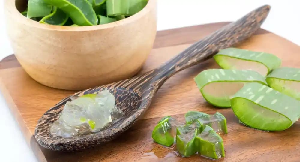 Aloe Vera ve Vazelin Karışımının Cilt Bakımında Nemlendirme ve Onarım Faydaları