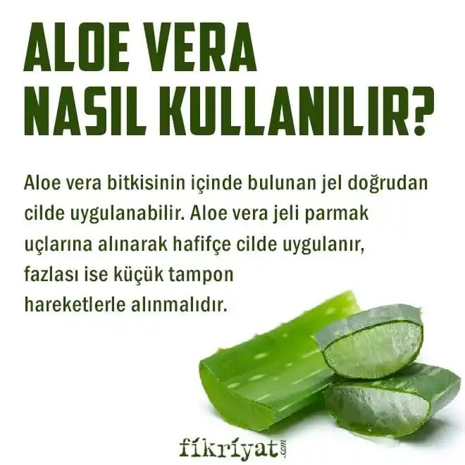 Aloe Vera Yüze Sürülür Mü? Doğal Cilt Bakımında Doğru Kullanım ve Faydaları