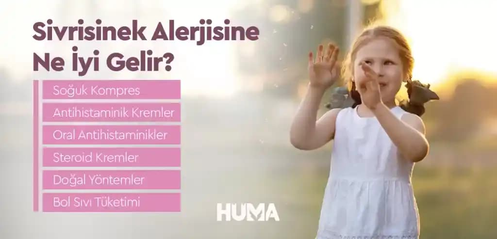 Antihistaminik Kremler: Etkileri, Kullanım Alanları ve Popüler Çeşitleri Hakkında Bilgi