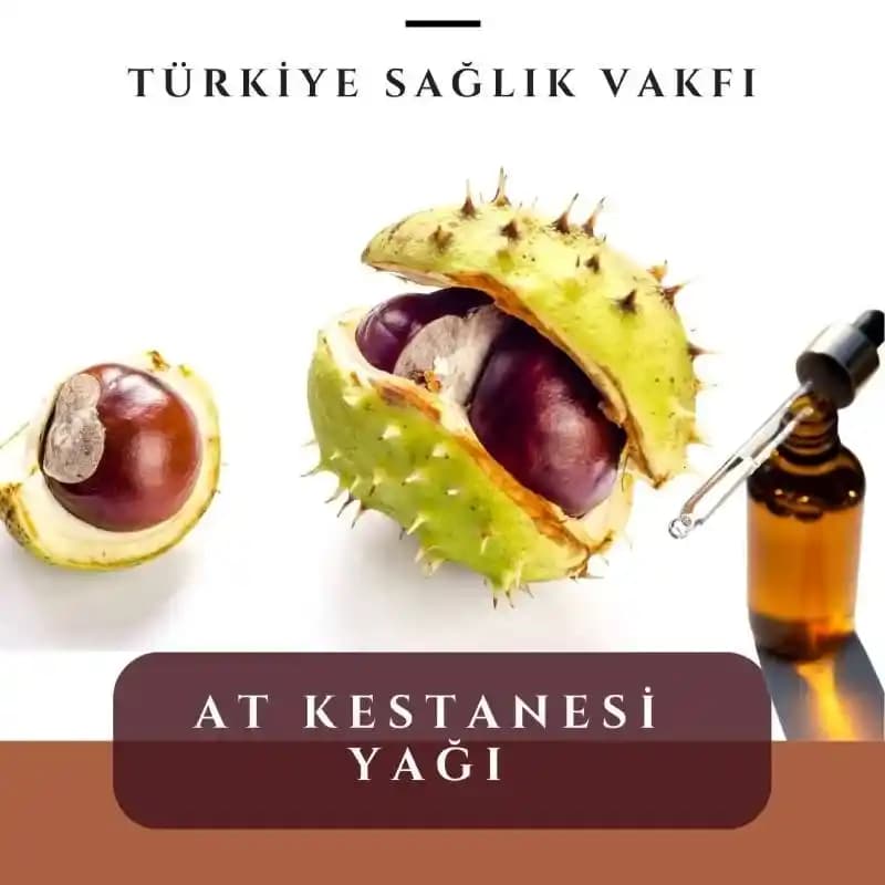 At Yağı Nedir? Cilt ve Saç Bakımında Doğal Nemlendirici ve Koruyucu Özellikleri