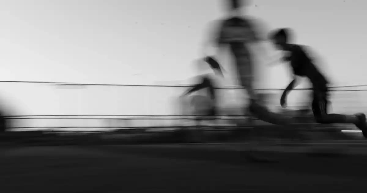 Bargello 115 Parfüm Muadili ve Özellikleri: Detaylı Koku Rehberi