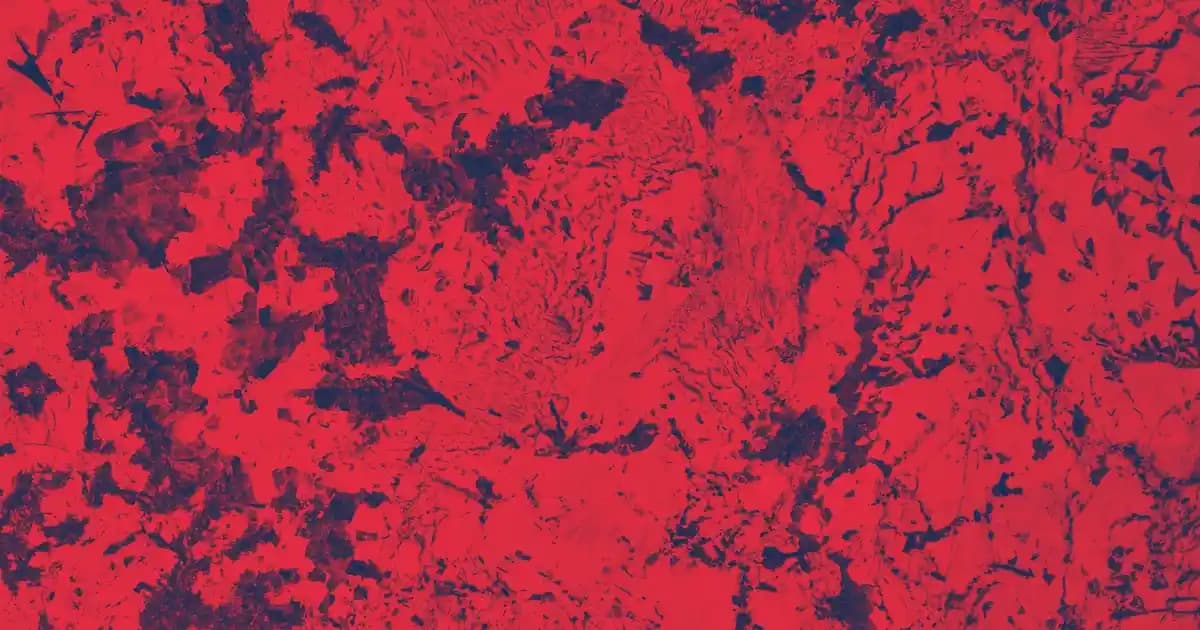 Bebek Yağının Son Kullanma Tarihi ve Cilt Bakımında Dikkat Edilmesi Gerekenler